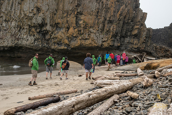 Passing by piles of driftwood, GeoFORCE students approach a wall of ancient lava to observe it up close.