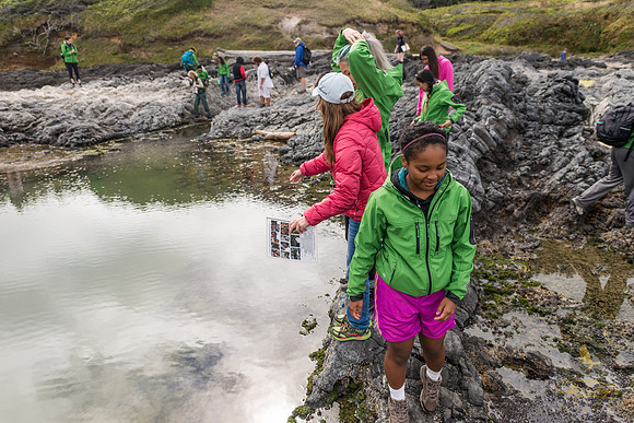 Angel Telfair (front) searches for more starfish in an adjoining tide pool at Cape Perpetua in Oregon.