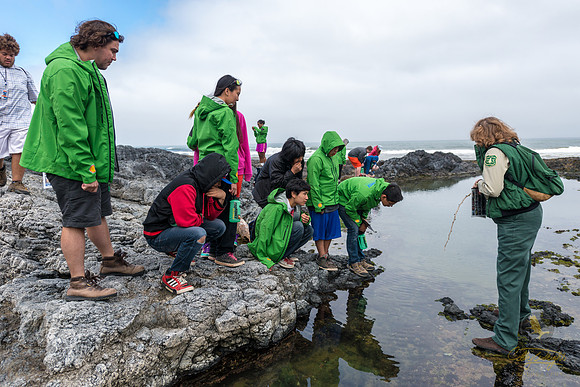 While at Cape Perpetua on the Oregon coast, GeoFORCE students lean over tide pools to look at the small, fragile sea creatures that live in the pools.